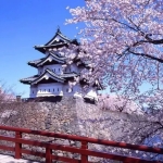 Cách Học Ngữ Pháp Tiếng Nhật Dễ Hiểu Và Ghi Nhớ Lâu