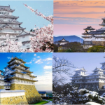 Bí Quyết Học Tiếng Nhật Hiệu Quả – Kinh Nghiệm Du Học Sinh Tại Nhật