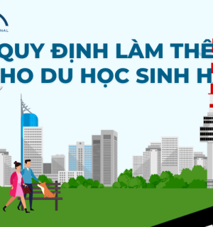 Quy Định Đi Làm Thêm Cho Du Học Sinh Hàn Quốc