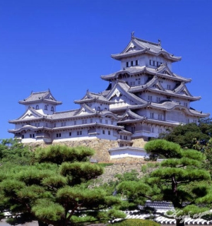 Kinh Nghiệm Quản Lý Chi Tiêu – Bí Quyết Tiết Kiệm Cho Du Học Sinh Nhật