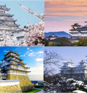 Bí Quyết Học Tiếng Nhật Hiệu Quả – Kinh Nghiệm Du Học Sinh Tại Nhật