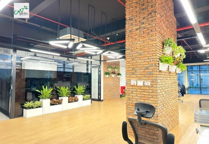  Tư vấn Du học Nhật Bản toàn diện