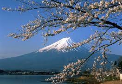 Ngành Học Mới Tại Nhật Bản 2025 – Xu Hướng Thu Hút Du Học Sinh