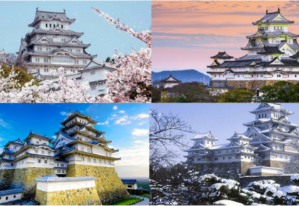 Bí Quyết Học Tiếng Nhật Hiệu Quả – Kinh Nghiệm Du Học Sinh Tại Nhật