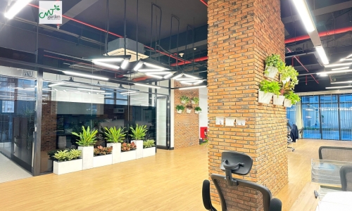  Tư vấn Du học Nhật Bản toàn diện