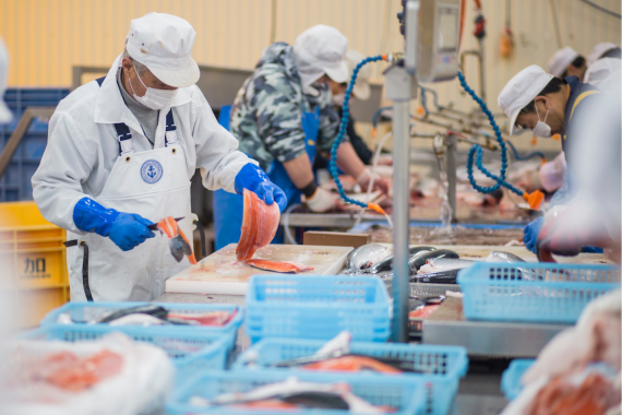 Tuyển nữ làm việc tại Nagasaki – Chế biến thủy sản, thu nhập ổn định, tăng ca nhiều